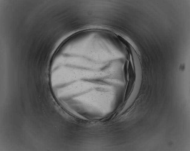 X0000089441148200707131900