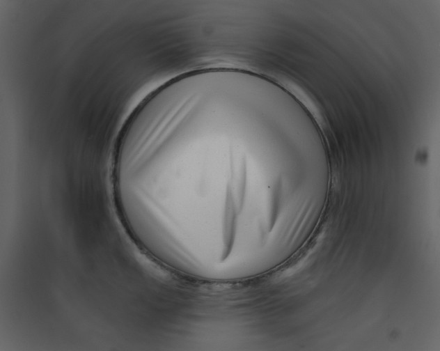 X0000089441149200707131900