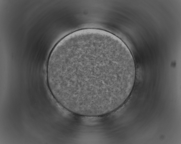 X0000089441150200707131900