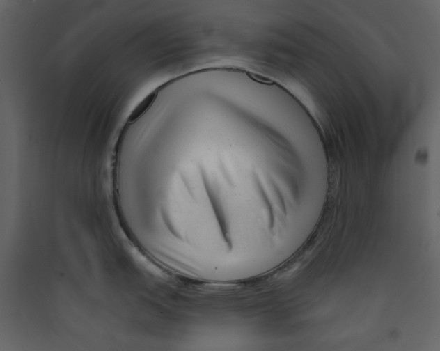 X0000089441151200707131900