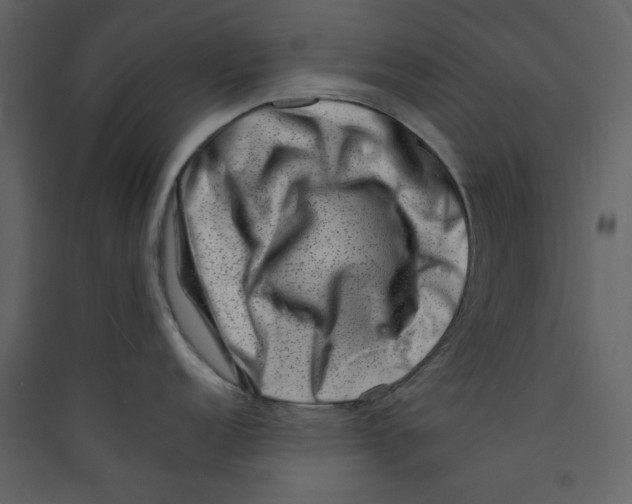 X0000089441152200707131900