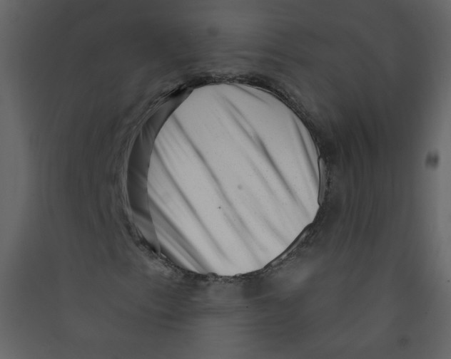 X0000089441153200707131900