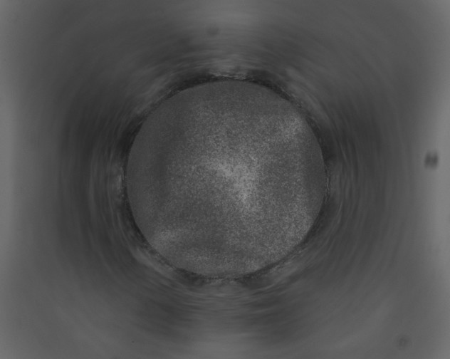 X0000089441154200707131900