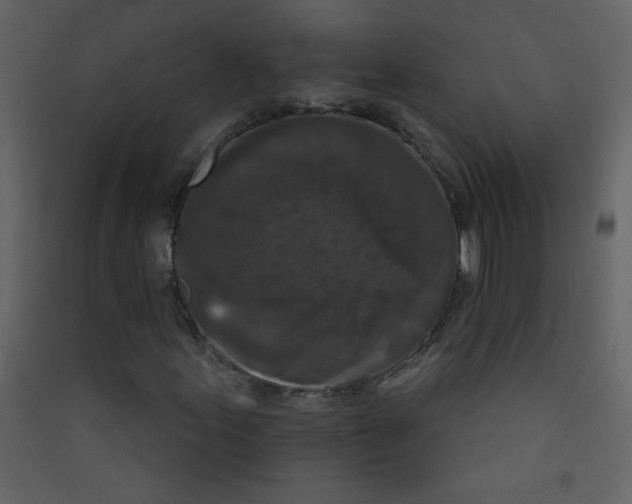 X0000089441155200707131900