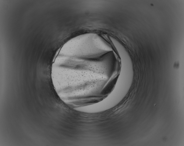 X0000089441156200707131900