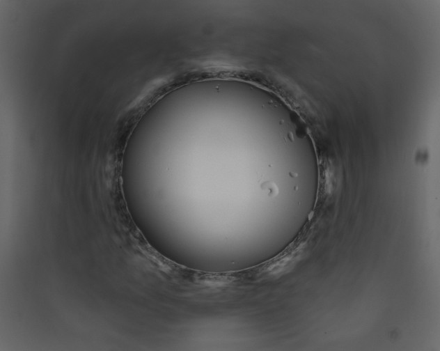 X0000089441157200707131900