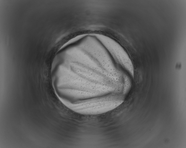 X0000089441158200707131900