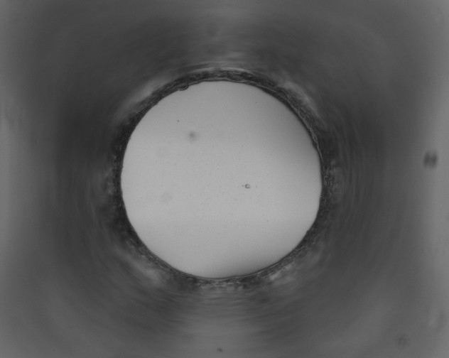 X0000089441159200707131900