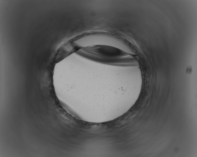 X0000089441160200707131900