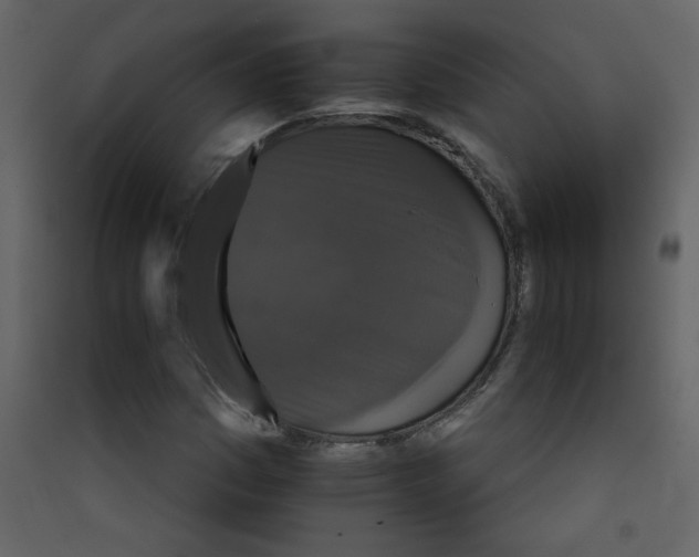 X0000089441161200707131900
