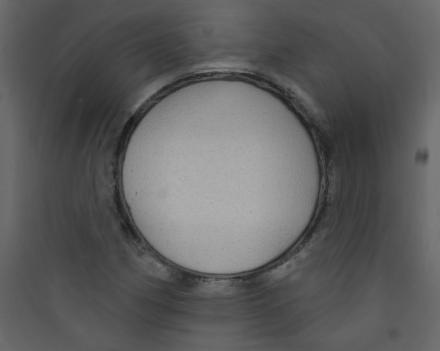 X0000089441162200707131900