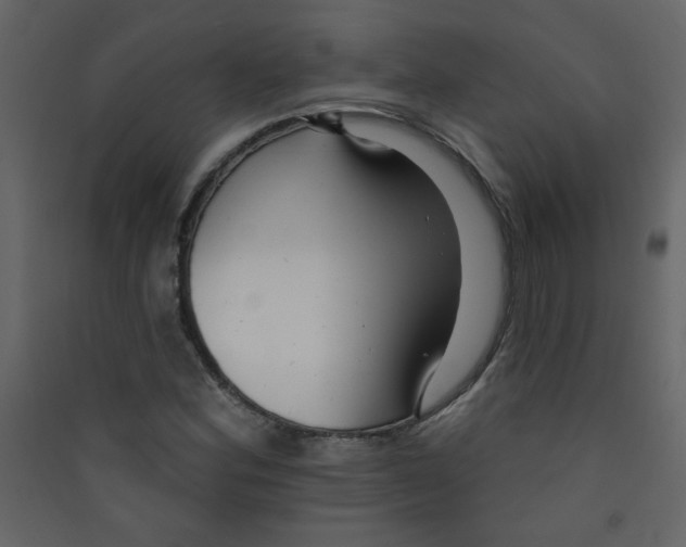 X0000089441164200707131900