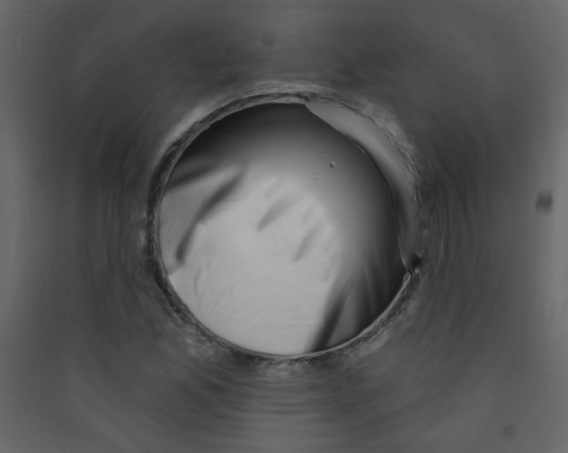 X0000089441165200707131900