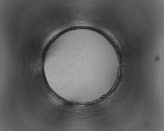 X0000089441167200707131900