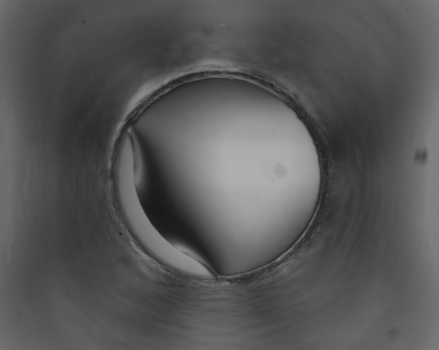 X0000089441168200707131859