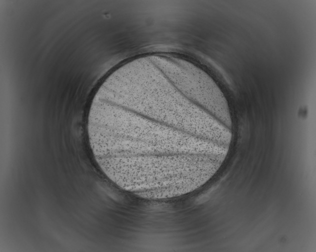 X0000089441170200707131859
