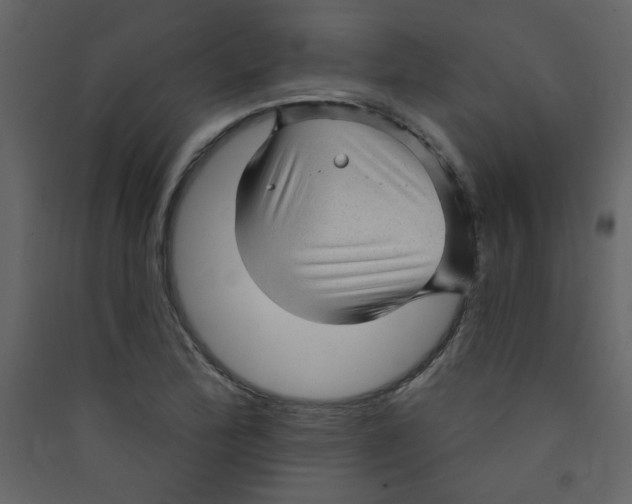 X0000089441172200707131859