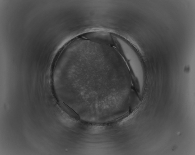 X0000089441173200707131859