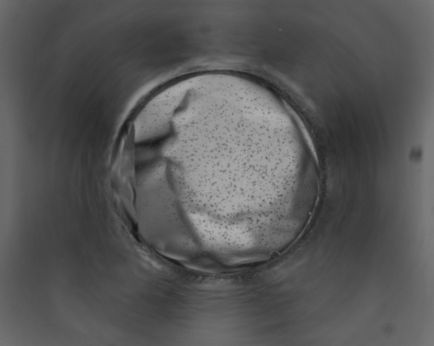 X0000089441174200707131859
