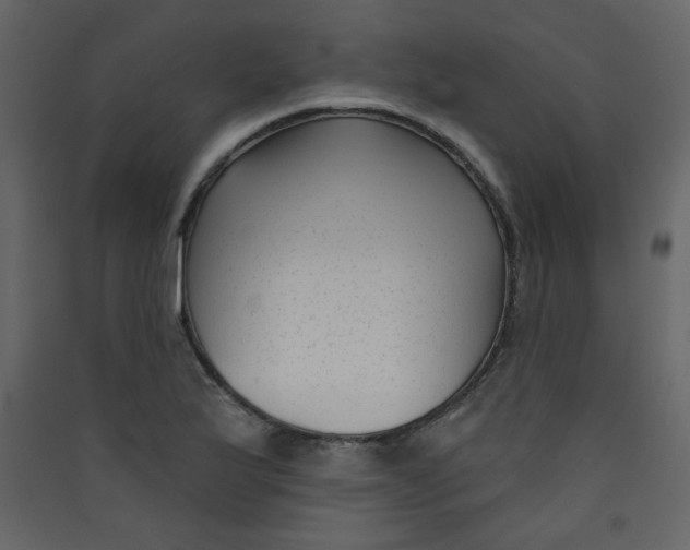 X0000089441175200707131859