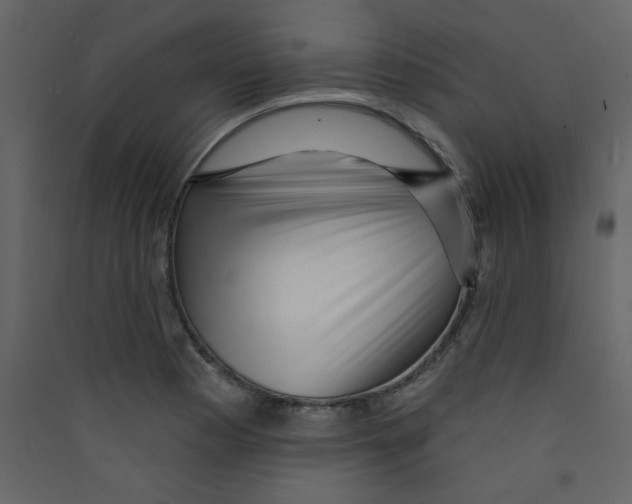 X0000089441177200707131859