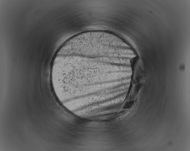 X0000089441179200707131859