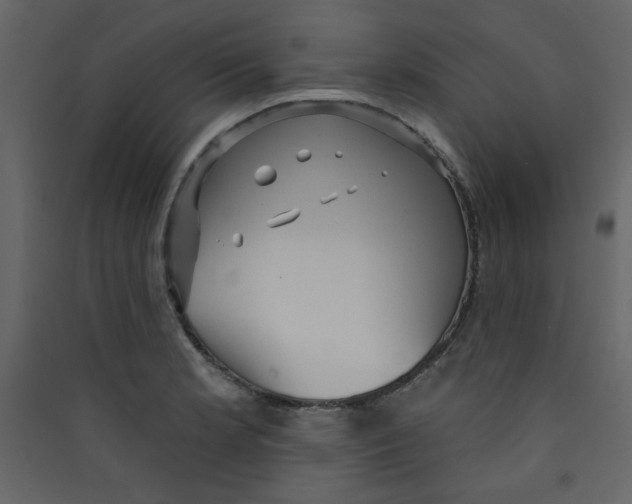 X0000089441181200707131859