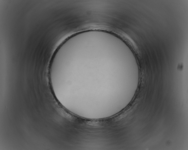 X0000089441182200707131859