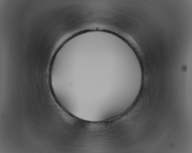 X0000089441183200707131859
