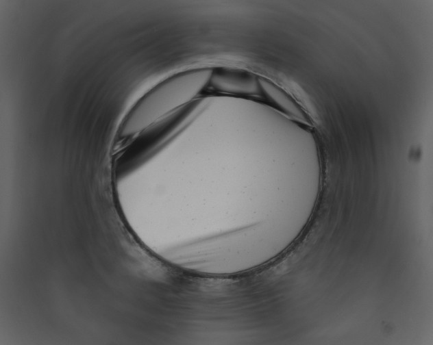 X0000089441184200707131859