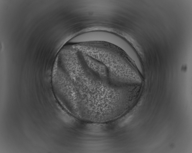 X0000089441185200707131859