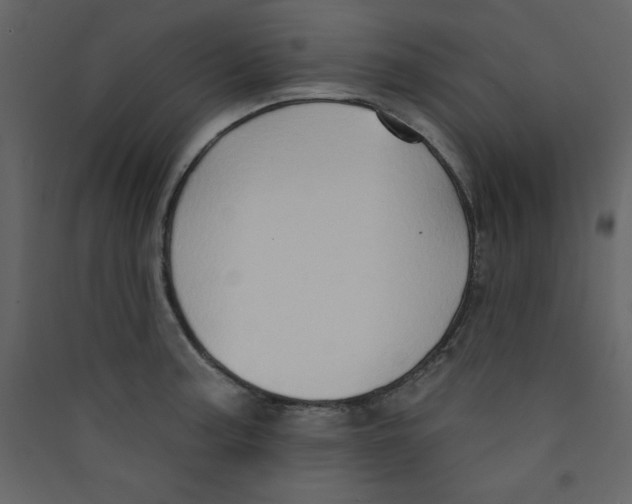 X0000089441187200707131859