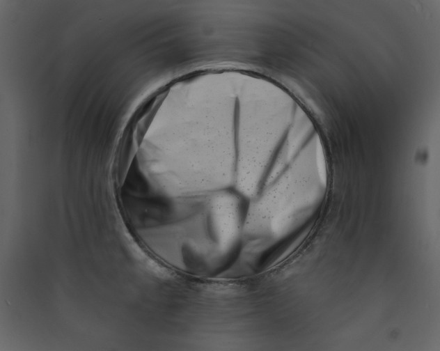 X0000089441189200707131859