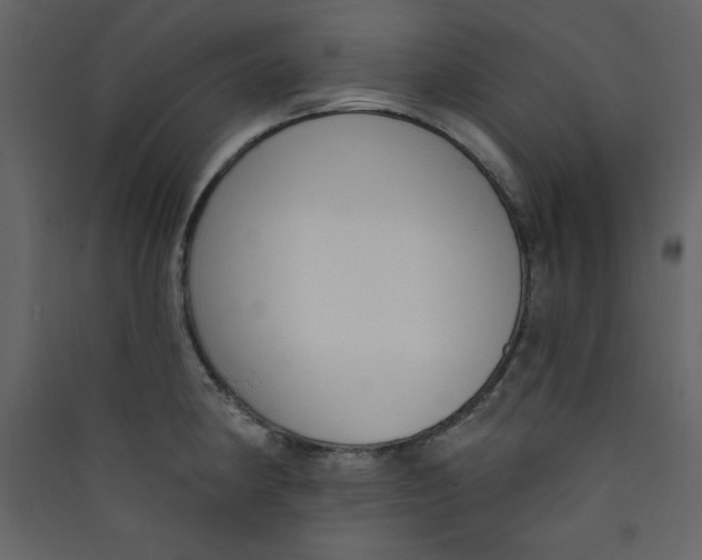 X0000089441190200707131859