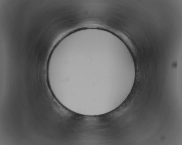 X0000089441191200707131859