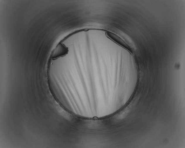 X0000089441192200707131859