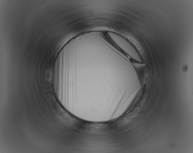 X0000089441193200707131859