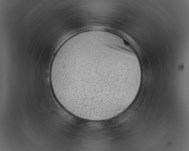X0000089441194200707131859