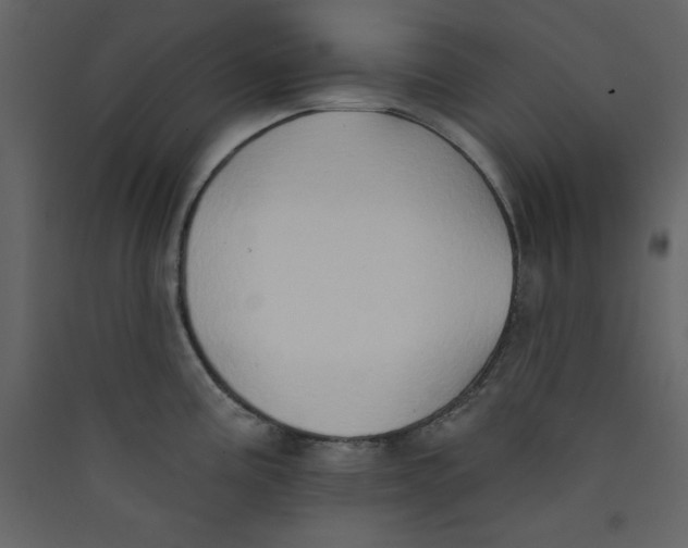 X0000089441195200707131859