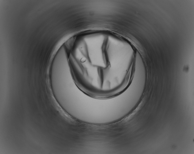 X0000089441196200707131859