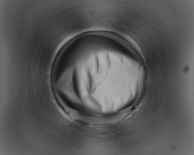 X0000089441197200707131859