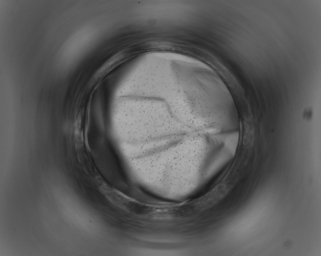 X0000089441198200707131859