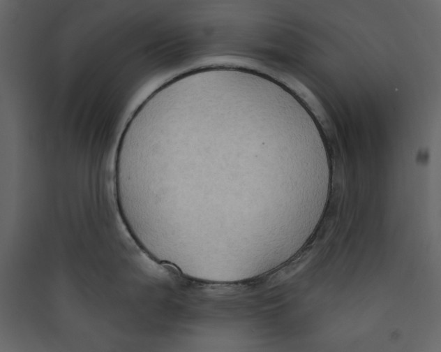 X0000089441199200707131859