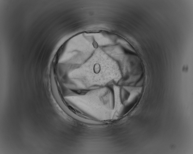 X0000089441200200707131859
