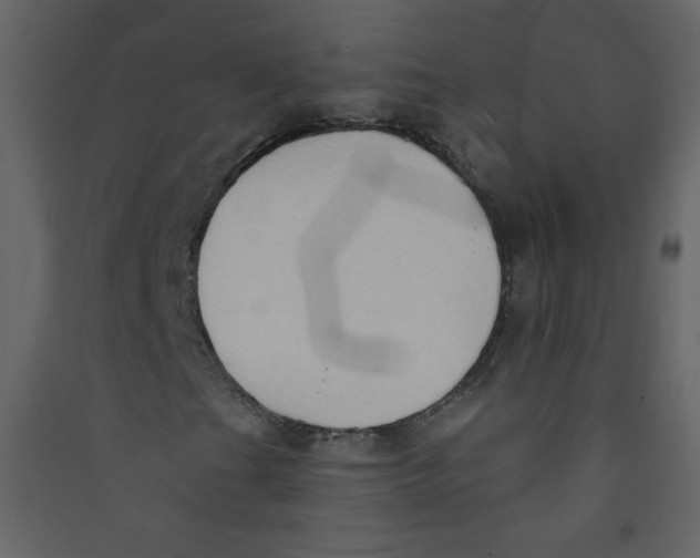 X0000089441201200707131858
