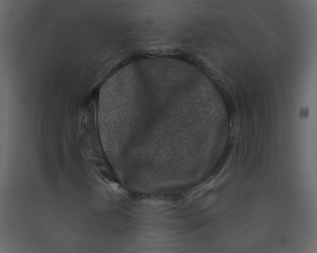 X0000089441202200707131859