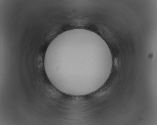 X0000089441203200707131859