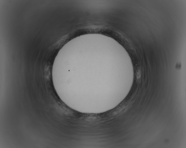 X0000089441204200707131859