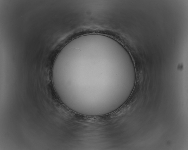 X0000089441205200707131859