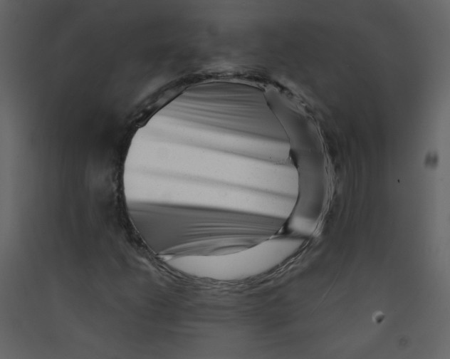 X0000089441206200707131859